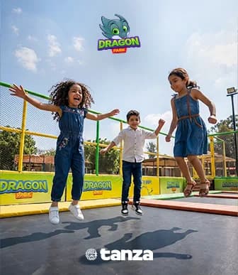 Dragon Park outdoor play