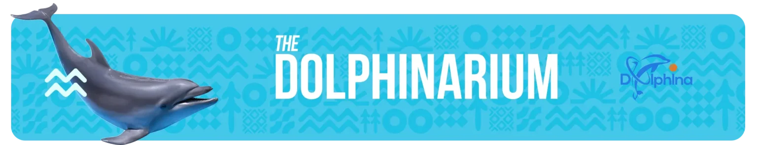 The Dolphinarium