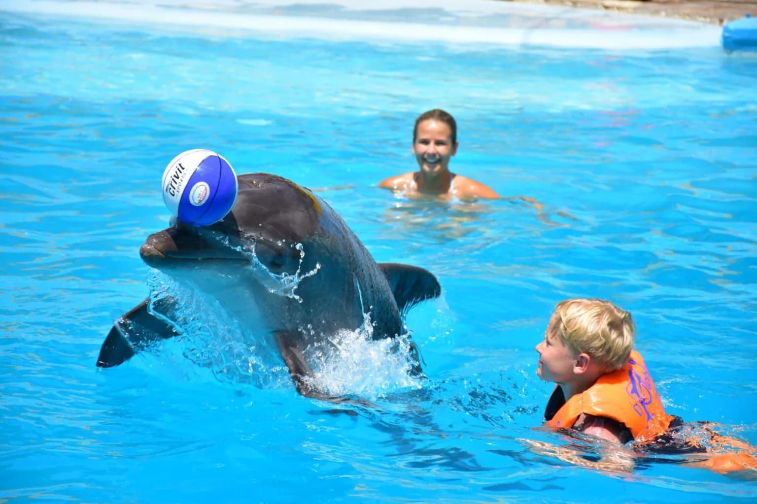 Dolphin encounter